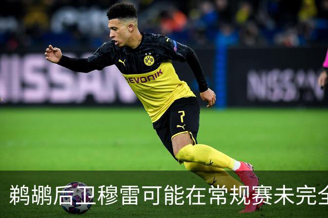 鹈鹕后卫穆雷可能在常规赛未完全恢复状况